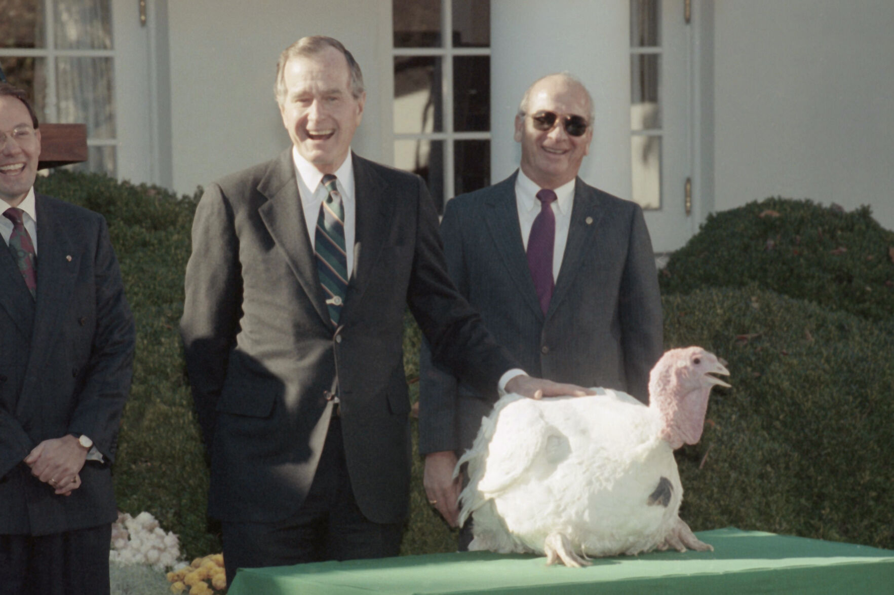 Bush turkey pardon, 1990